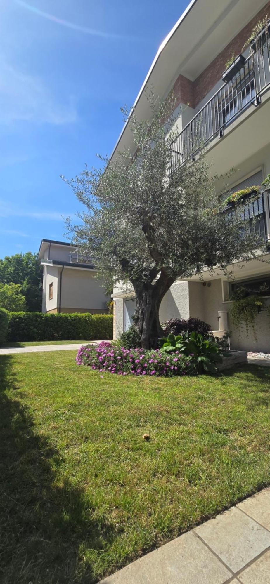 Ca' Olivo Vila Mogliano Veneto Exterior foto